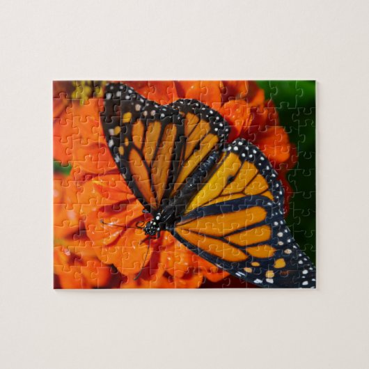 Monarch Legpuzzel (Horizontaal)