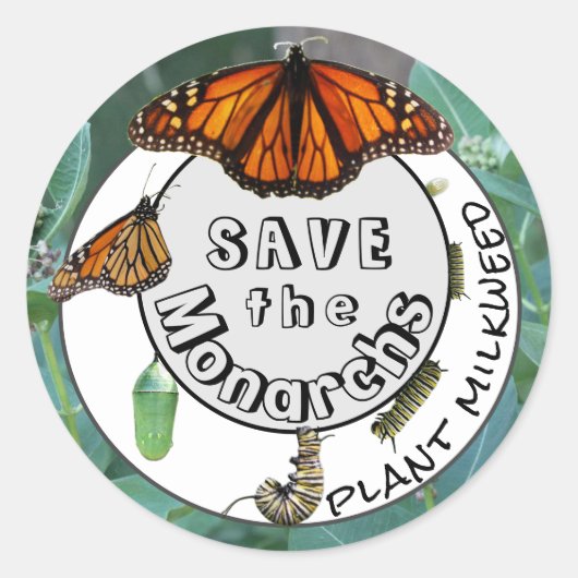 Monarch Life Cycle Plant Milkweed Ronde Sticker (Voorkant)
