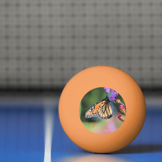 Monarch lunch pingpongbal (Net)