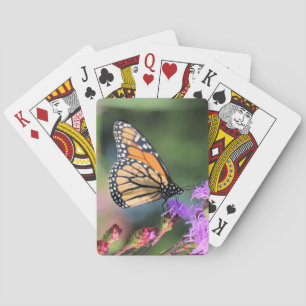 Monarch lunch pokerkaarten