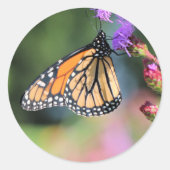 Monarch lunch ronde sticker (Voorkant)