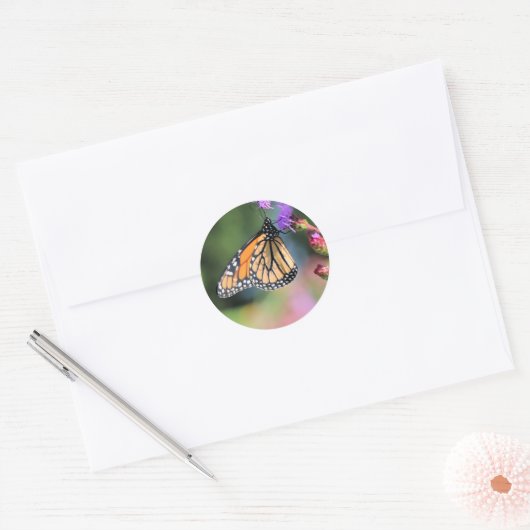 Monarch lunch ronde sticker (Envelop)