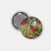 "Monarch" Magnet (Voorkant / Achterkant)