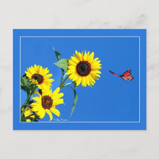 Monarch met geel en blauw briefkaart (Voorkant)