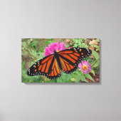Monarch met uitspreiding over Roze Zinnia Canvas Afdruk (Voorkant)