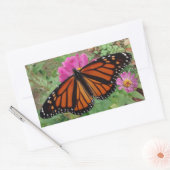 Monarch met uitspreiding over Roze Zinnia Rechthoekige Sticker (Envelop)