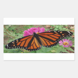 Monarch met uitspreiding over Roze Zinnia Rechthoekige Sticker
