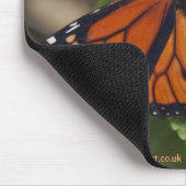 Monarch Muismat (Hoek)