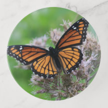 Monarch on Thistle Trinket Tray