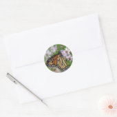 Monarch op Asters Sticker (Envelop)