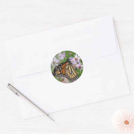 Monarch op Asters Sticker (Envelop)