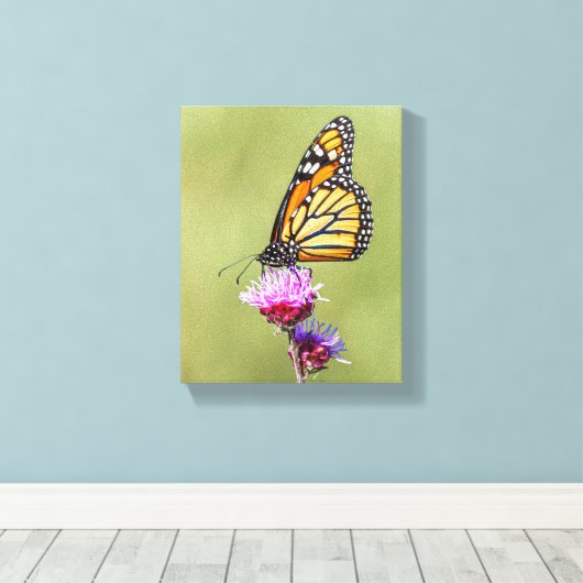 Monarch op Blazing Star Canvas Afdruk (Insitu (Houten vloer))