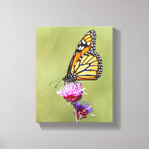Monarch op Blazing Star Canvas Afdruk
