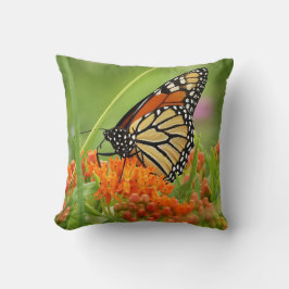 Monarch op Butterfly Weed Sierkussen