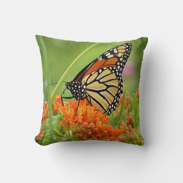 Monarch op Butterfly Weed Sierkussen (Voorkant)