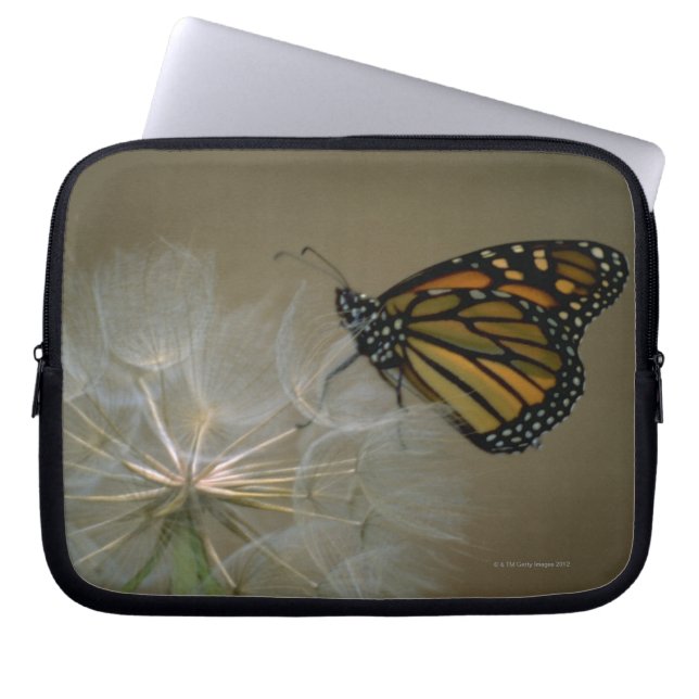Monarch op Dandelion Laptop Sleeve (Voorkant)