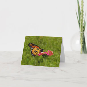 Monarch op de Kaart van de Nota van de Bloem