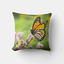 Monarch op distel kussen