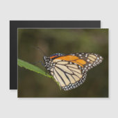 Monarch op een blad (Voorkant / Achterkant)