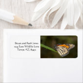 Monarch op een blad etiket (Insitu)