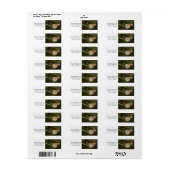 Monarch op een blad etiket (Full Sheet)