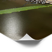 Monarch op een blad foto afdruk (Hoek)