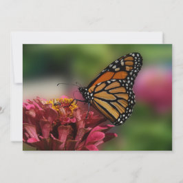 Monarch op een zinnia - plat Wenskaart Kaart