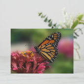 Monarch op een zinnia - plat Wenskaart Kaart (Staand voorkant)