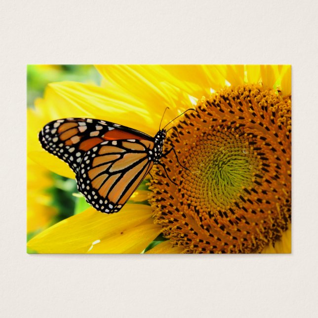 Monarch op een Zonnebloem, Profiel kaart (Voorkant)