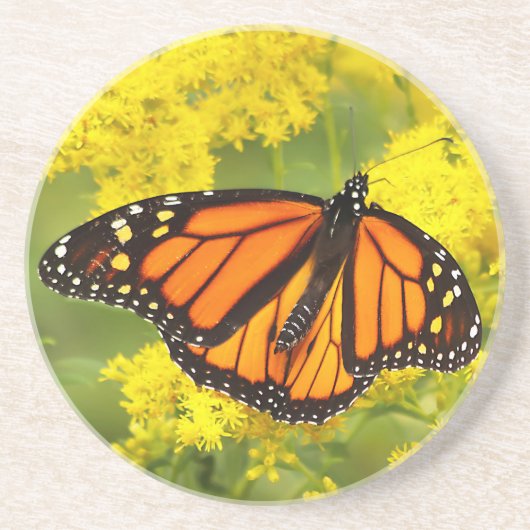 Monarch op Goldenrod Zandsteen Onderzetter (Voorkant)