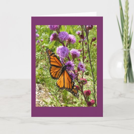 Monarch op Kaart van de Nota van Gayfeather van de (Voorkant)