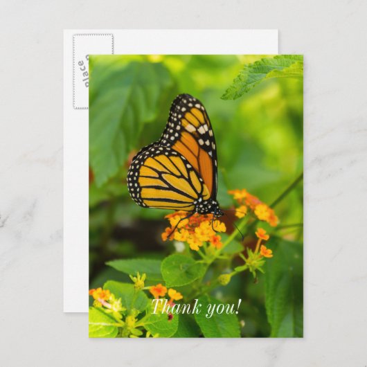 Monarch op Lantana Bedankkaart Briefkaart (Voorkant / Achterkant)