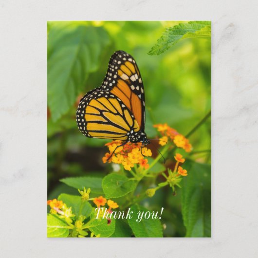 Monarch op Lantana Bedankkaart Briefkaart (Voorkant)