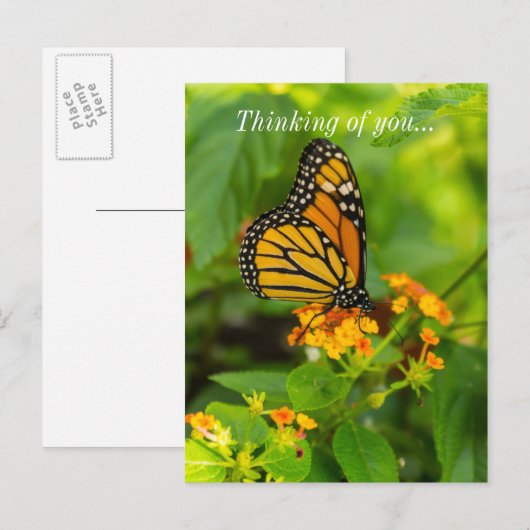 Monarch op Lantana Briefkaart (Voorkant / Achterkant)