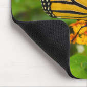 Monarch op Lantana Muismat (Hoek)