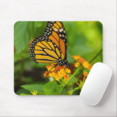 Monarch op Lantana Muismat (Met muis)