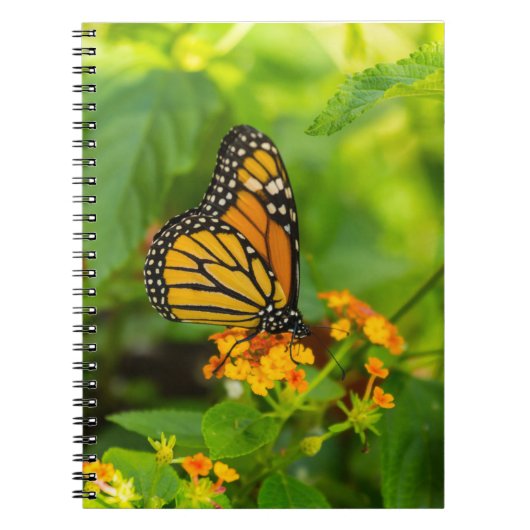 Monarch op Lantana Notitieboek (Voorkant)