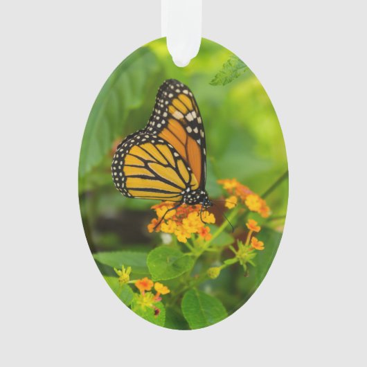 Monarch op Lantana Ornament (voorkant)