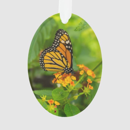 Monarch op Lantana Ornament (achterkant)