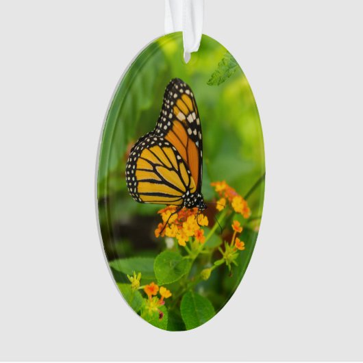 Monarch op Lantana Ornament (voorkant)