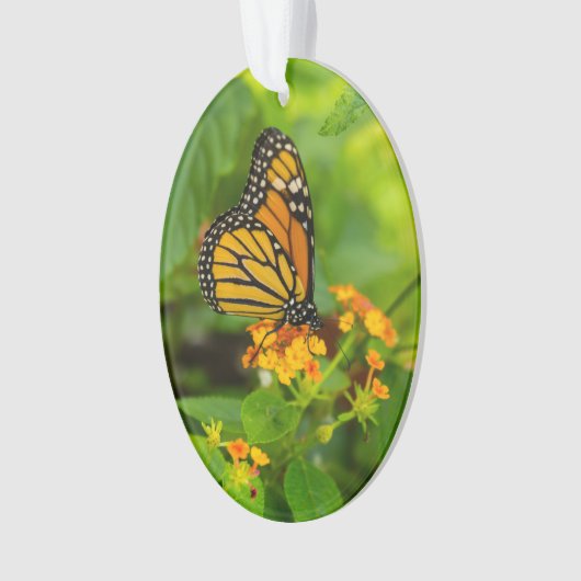 Monarch op Lantana Ornament (voorkant)