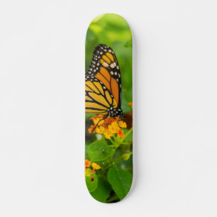 Monarch op Lantana Persoonlijk Skateboard