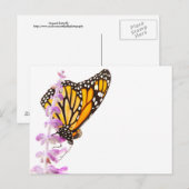 Monarch op lavendel briefkaart (Voorkant / Achterkant)
