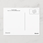 Monarch op lavendel briefkaart (Achterkant)