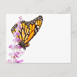 Monarch op lavendel briefkaart