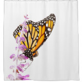 Monarch op lavendel douchegordijn (Voorkant)