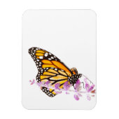 Monarch op lavendel magneet (Verticaal)