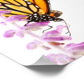Monarch op lavendel poster (Hoek)