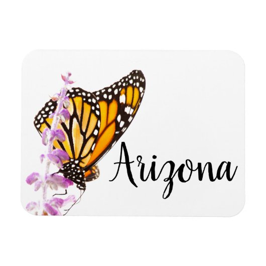 Monarch op lavender, Arizona Magneet (Horizontaal)
