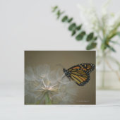 Monarch op paardenbloem briefkaart (Staand voorkant)